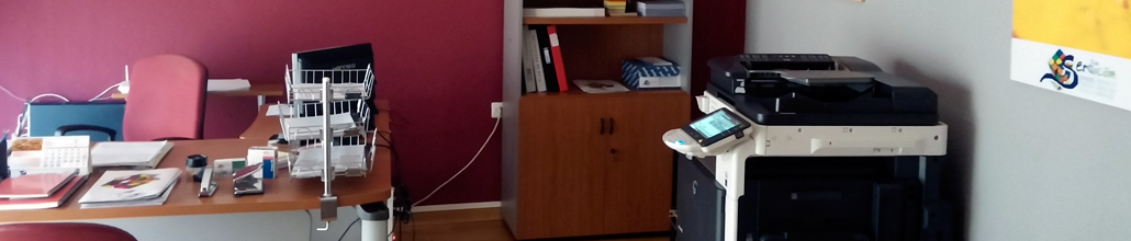 consultoria_serv