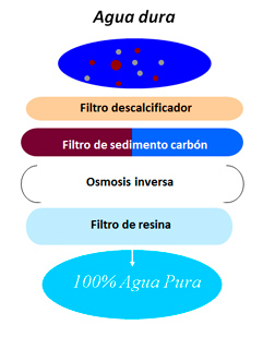 proceso